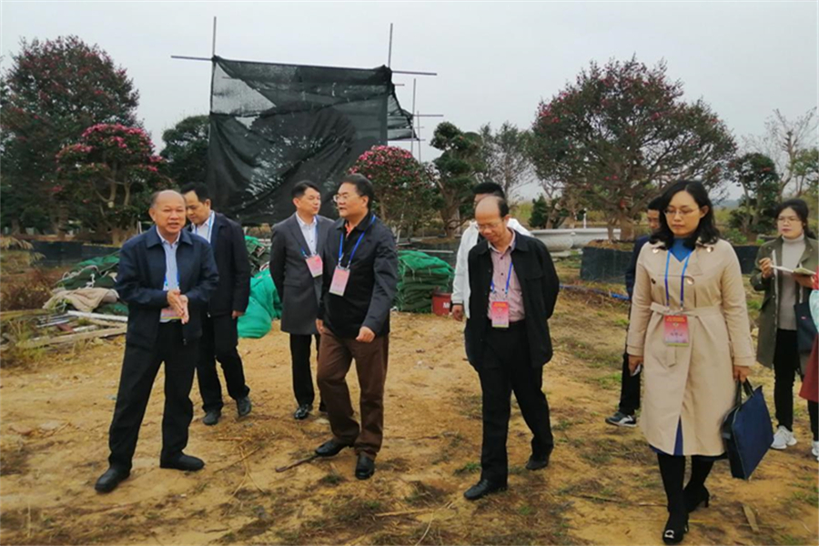 图片1_副本.jpg