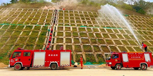 彩票投注
全面推动基层应急管理能力现代化建设